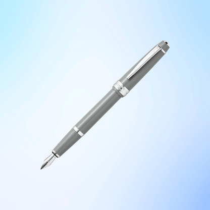 Fountain Pen with Stainless Steel Nib – Glossy Gray Finish, Black Ink Cartridges Included